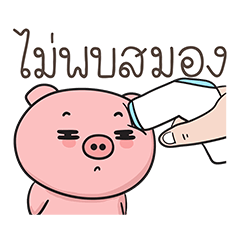 หมูตุ๋น ไม่พบสมอง