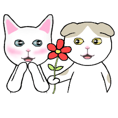 TianTian & MiMi : F...