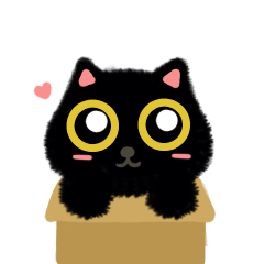Kuro black cat