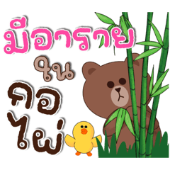BROWN & FRIENDS : ม...